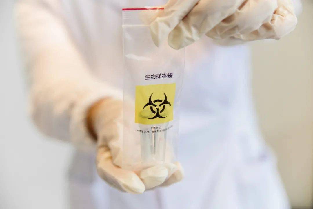 游戏专题 第64页